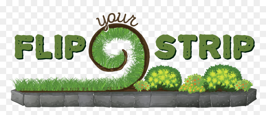 Money Tree Caterpillar Png - Tree, Transparent Png - money tree png