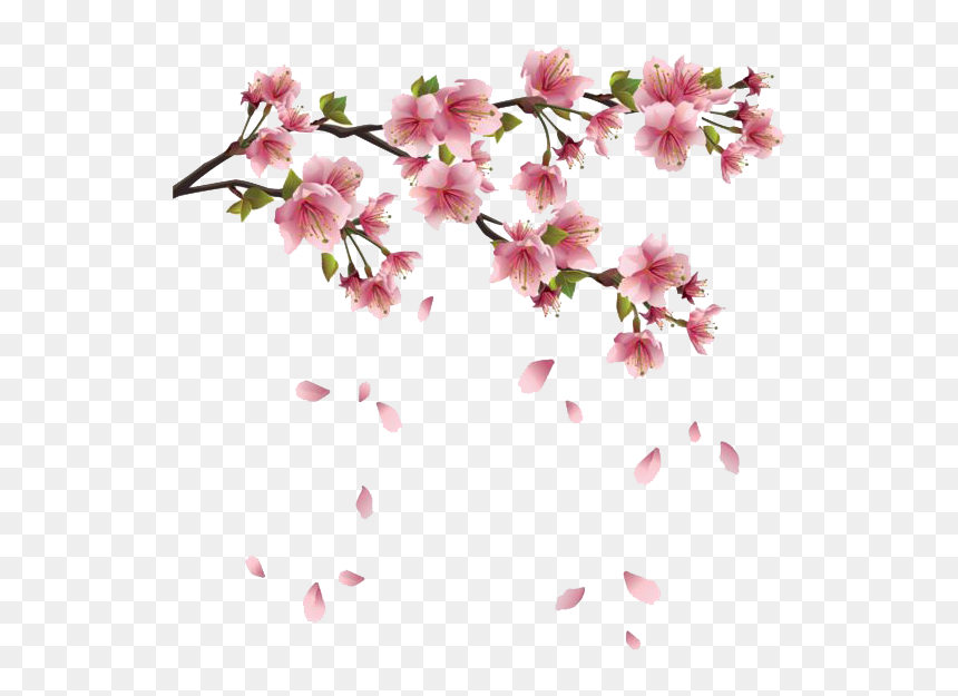 Flower Spring Branch Clip Art - Spring Png, Transparent Png - pink rose petals png