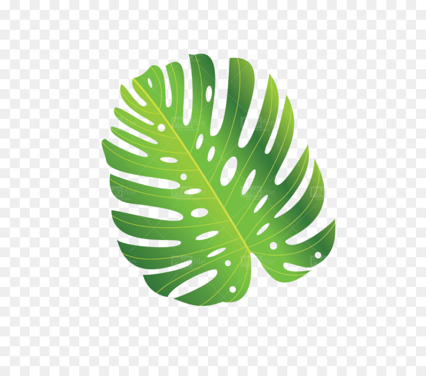 Illustration, HD Png Download - leave png