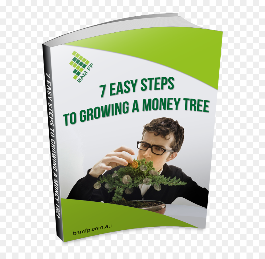 Flyer, HD Png Download - money tree png