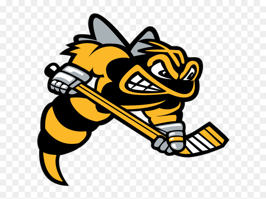 Sarnia Sting Mascotte - Sting Sarnia, HD Png Download - sting png