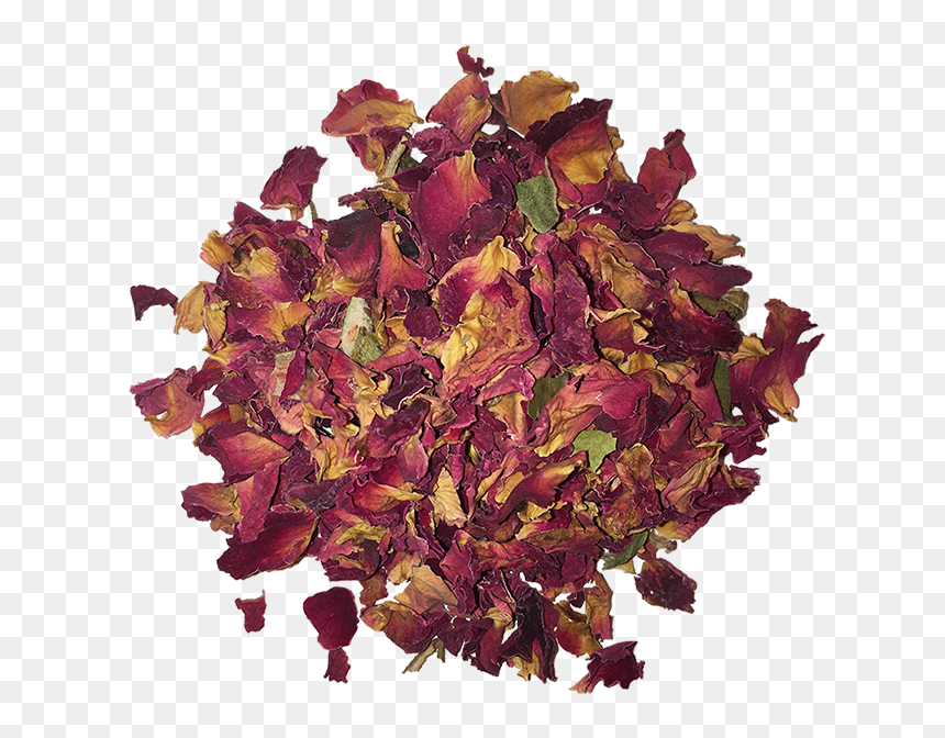 Autumn, HD Png Download - pink rose petals png