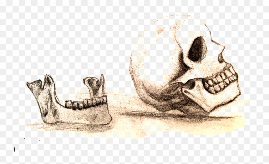 Skull, HD Png Download - dunce hat png