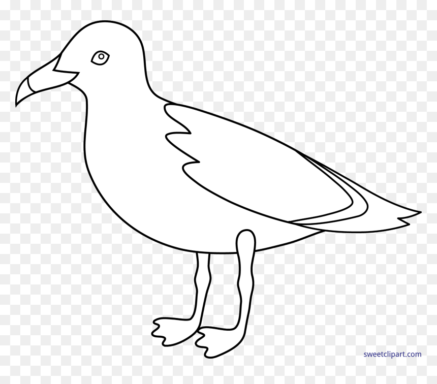 Seagull Clipart Line Drawing - Clip Art, HD Png Download - seagulls png