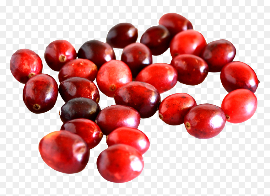 Cranberry - Transparent Cranberry Png, Png Download - cranberry png