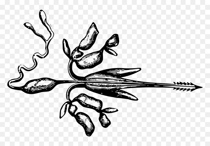 Illustration, HD Png Download - sting png