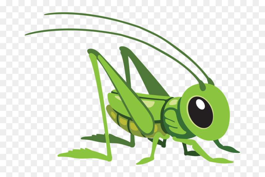X Kb Pillang - Cartoon Grasshopper, HD Png Download - grasshopper png