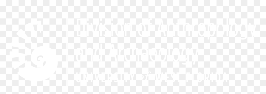 Transparent Outline Of Florida Png - 9 Straatjes, Png Download - florida outline png