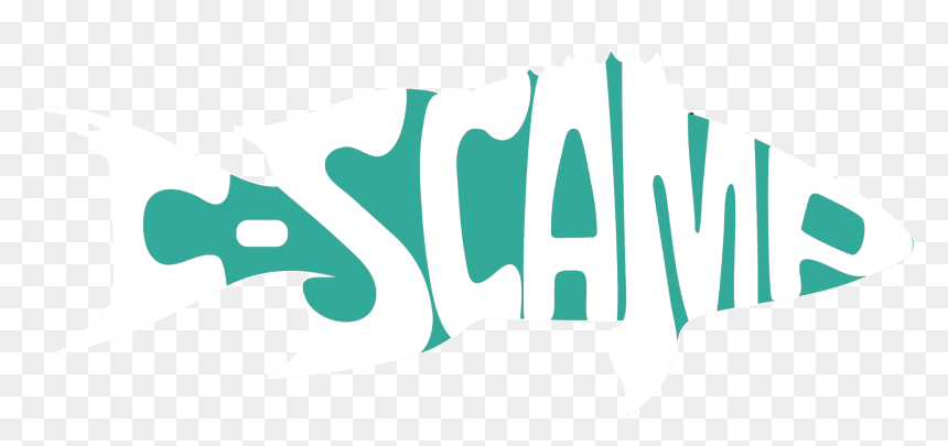 Clip Art, HD Png Download - florida outline png