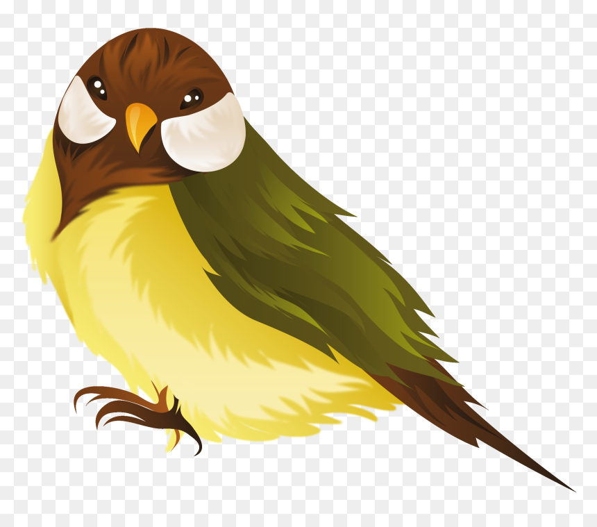 Bird Png - Cartoon Pet Bird Clipart, Transparent Png - cartoon bird png