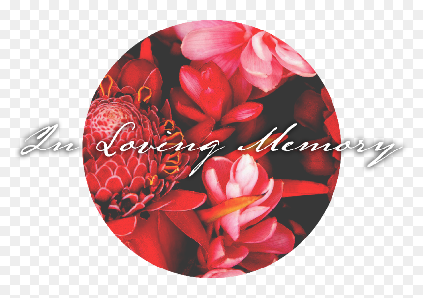 Mfc In Loving Memory Of - Artificial Flower, HD Png Download - in loving memory png