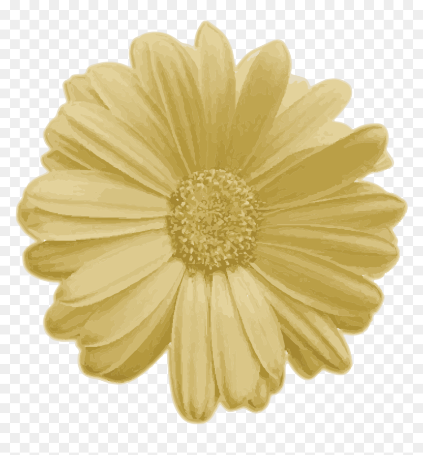 Real Flower Png , Png Download - Single Type Of Gerbera, Transparent Png - real flower png