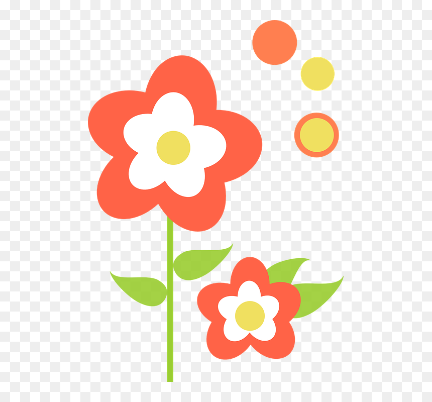 Orange Hibiscus Cliparts 26, Buy Clip Art - Cartoon Watering Can Png, Transparent Png - flor png