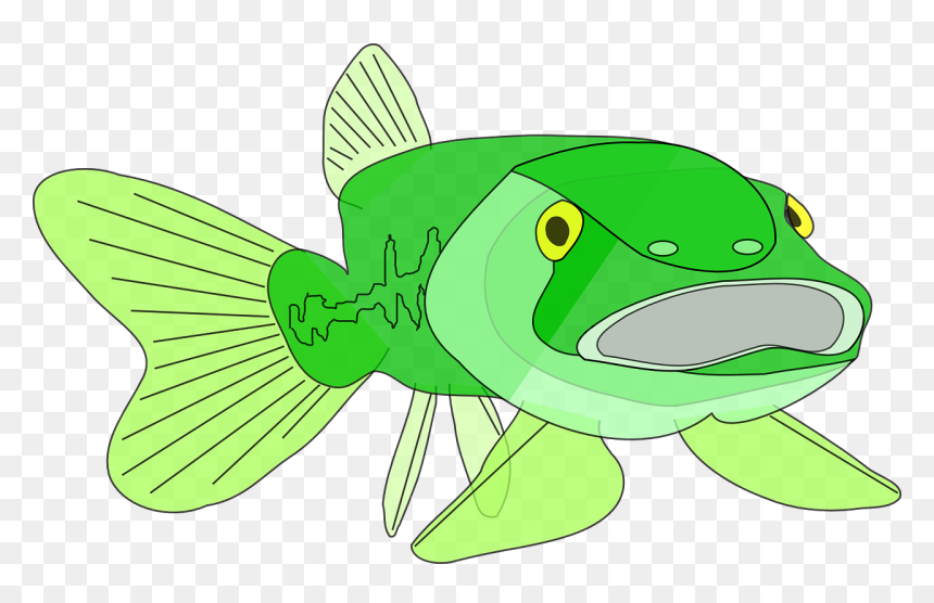 Portable Network Graphics, HD Png Download - bass fish png