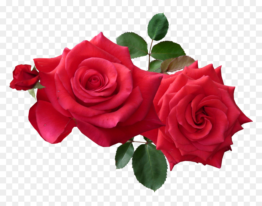 Good Friday Good Morning, HD Png Download - cut png