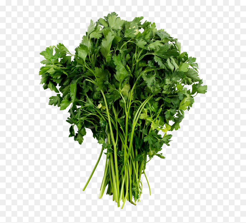 Vegetables Top View Png , Png Download - Vegetables Top View Png, Transparent Png - parsley png