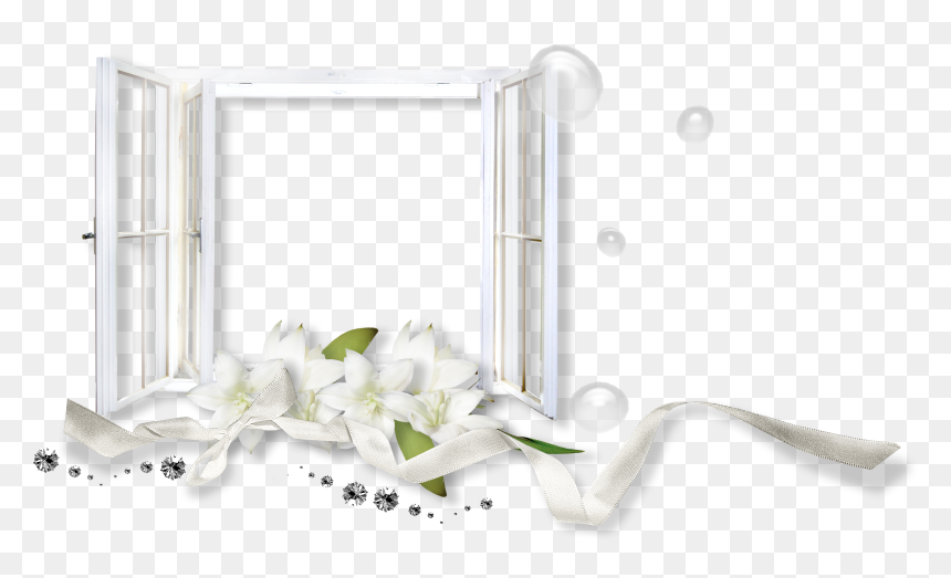 Pix Display, Png V - Jasmine, Transparent Png - seagulls png