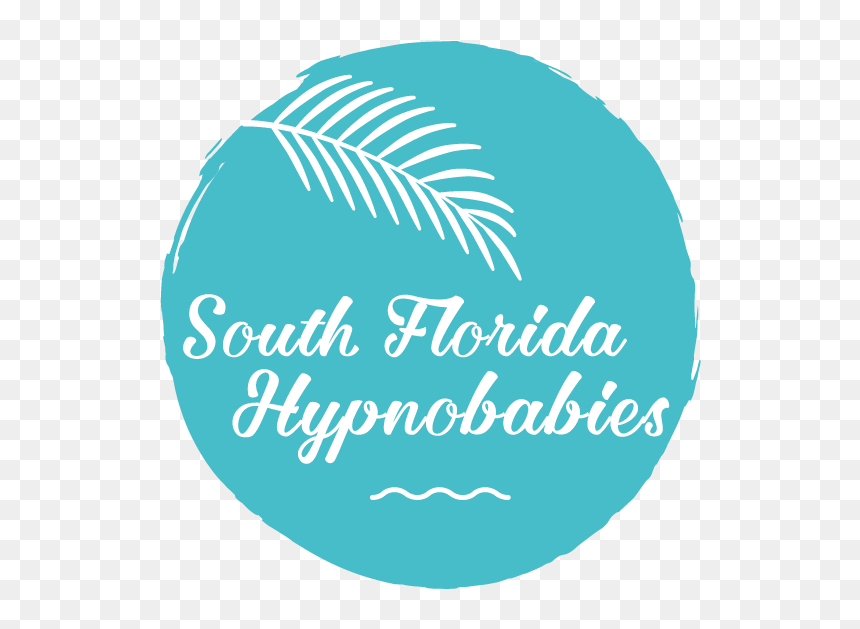 South Florida Hypnobabies - Circle, HD Png Download - florida outline png