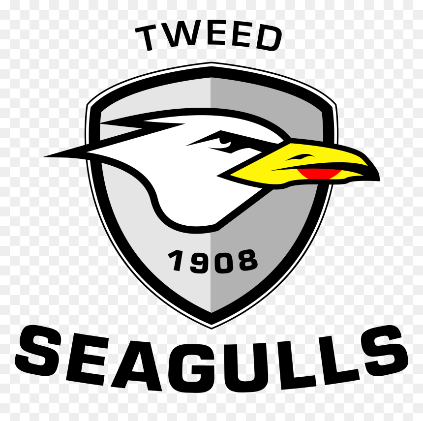 Tweed Seagulls, HD Png Download - seagulls png