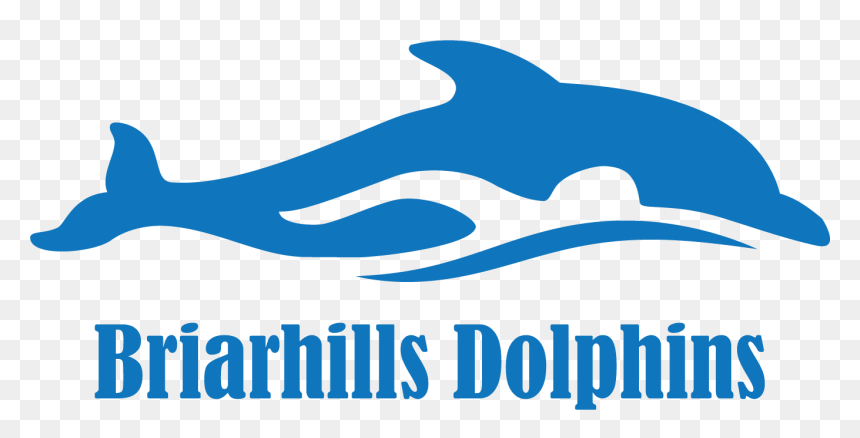 Briarhills Dolphins Swim Team Logo, HD Png Download - dolphins logo png