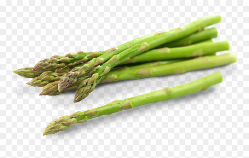Asparagus Png Photos - Asparagus Png, Transparent Png - asparagus png