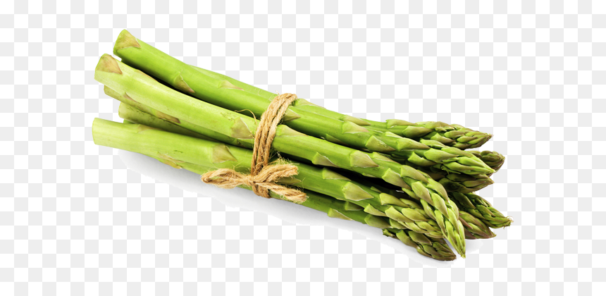 Asparagus Png File - Asparagus Png, Transparent Png - asparagus png