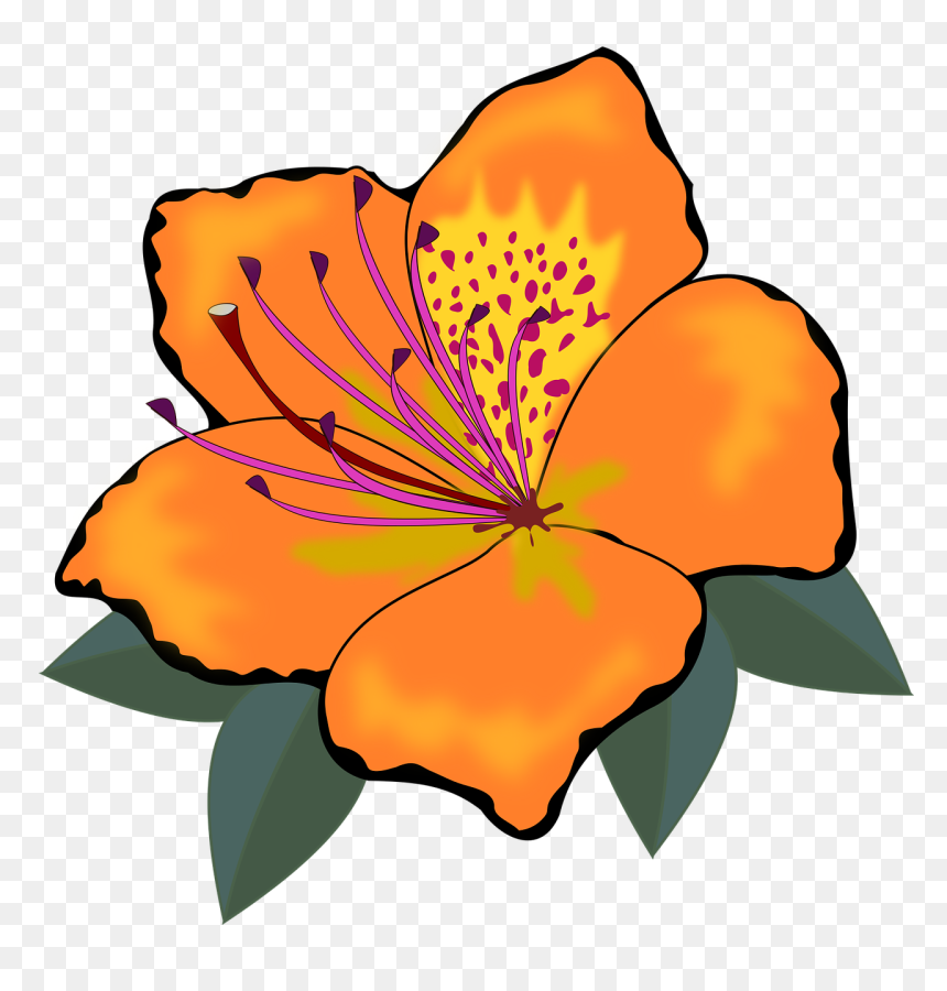 Clipart Of Flowers, HD Png Download - flor png