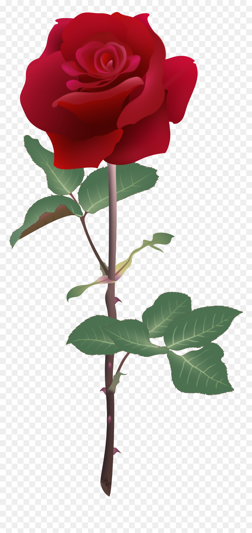 Rubyrose@2x - Ruby Rose Flowers, HD Png Download - ruby rose png