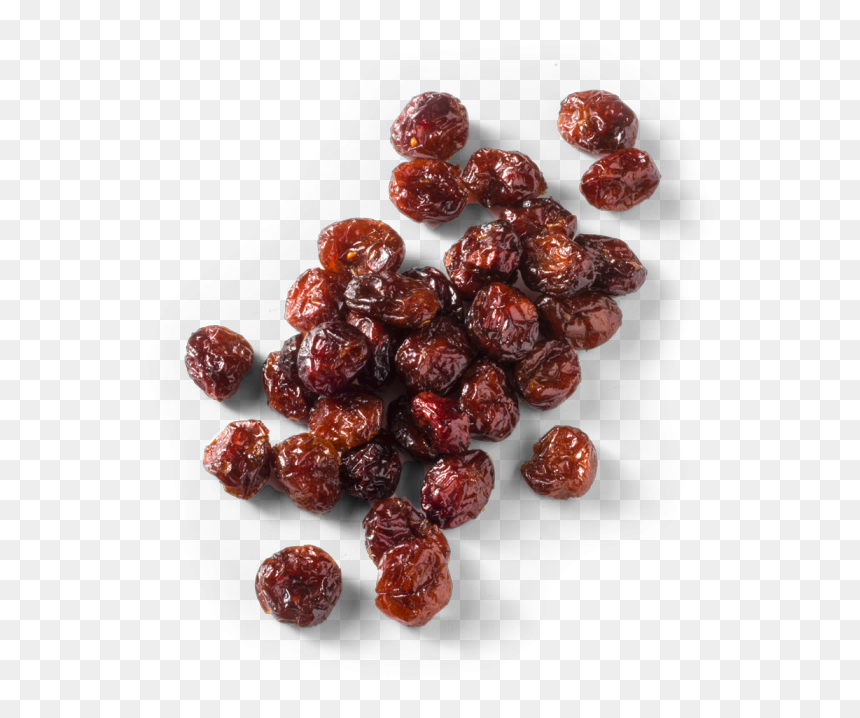 Cranberry Vector Single - Seedless Fruit, HD Png Download - cranberry png