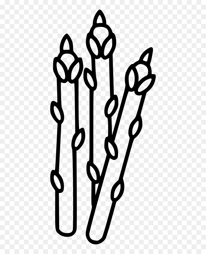 Asparagus - Clip Art, HD Png Download - asparagus png