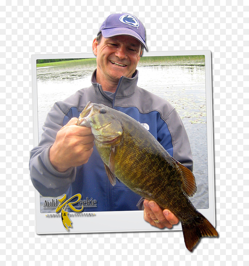 Smallmouth Bass - Pull Fish Out Of Water, HD Png Download - bass fish png