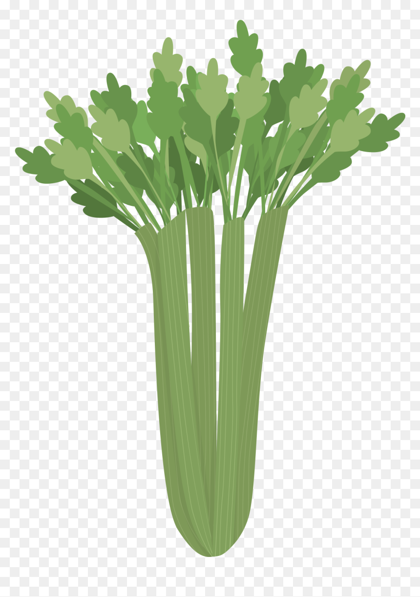 Parsley Transparent Image - Grass, HD Png Download - parsley png