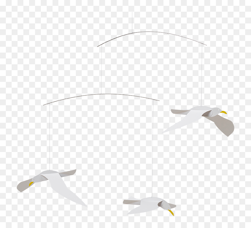 Franklin S Gull, HD Png Download - seagulls png