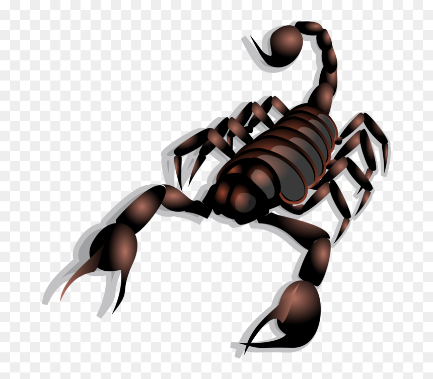 Cure Of Scorpion Bite, HD Png Download - sting png