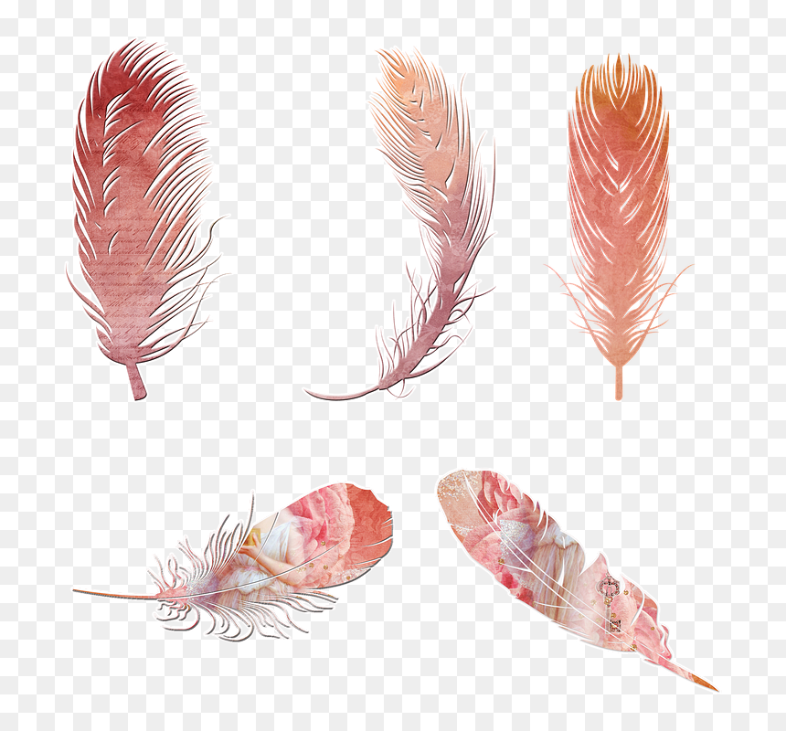 Transparent Black Feathers Png - Bohemian Feather Png, Png Download - black feather png