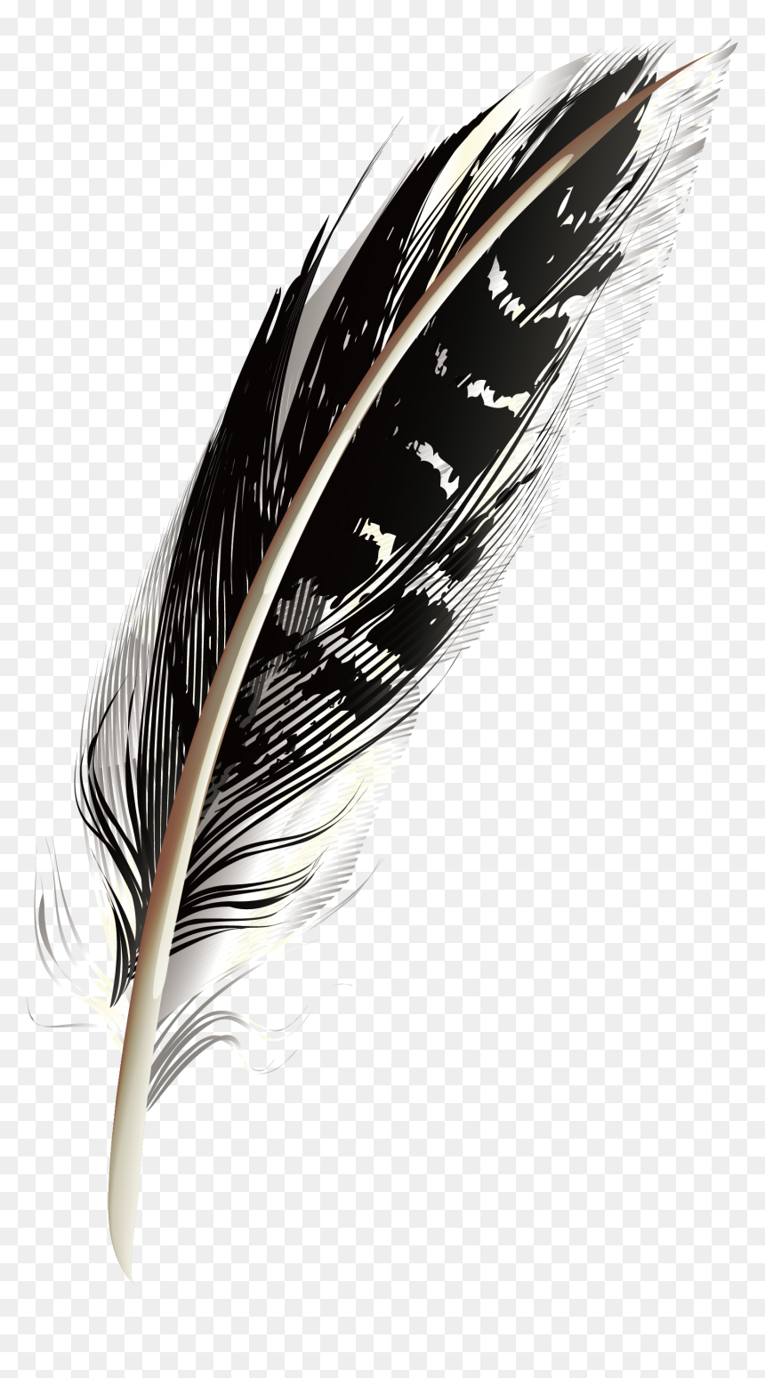 A Black Pattern Feathers Png Download - Portable Network Graphics, Transparent Png - black feather png