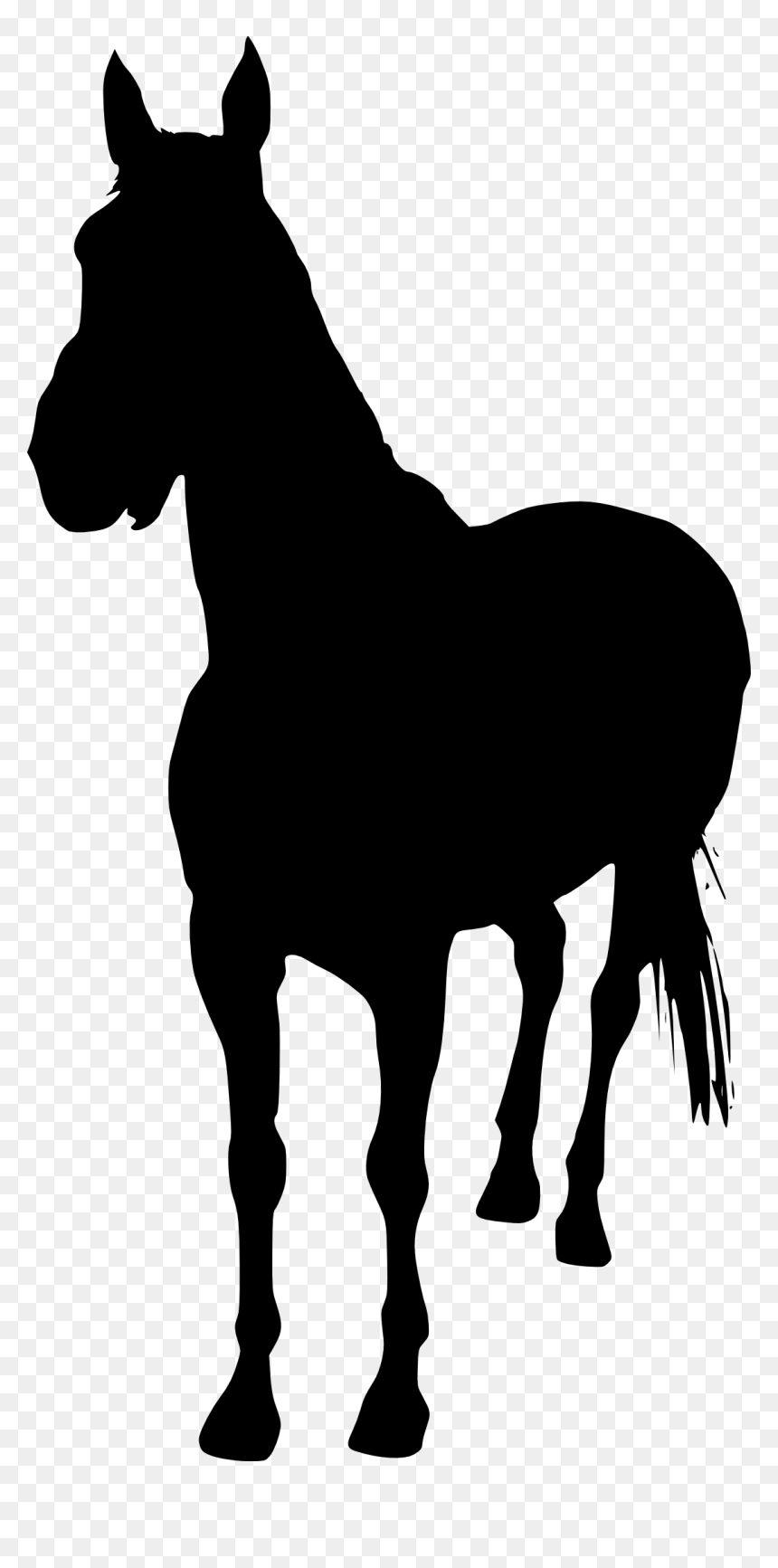 Horse Silhouette Without Background, HD Png Download - horse silhouette png