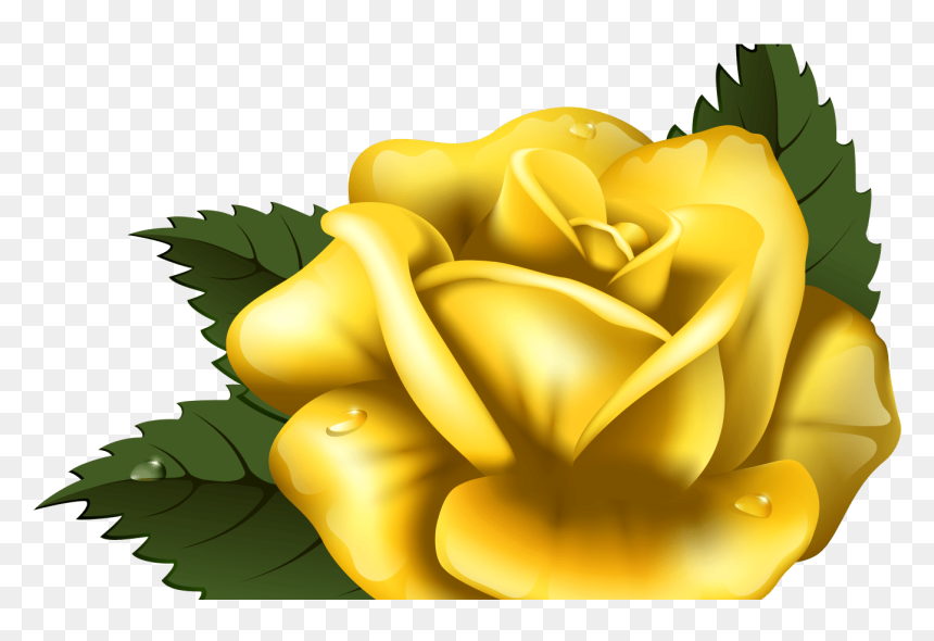 Transparent Gold Rose Clipart - Yellow Rose Graphic, HD Png Download - gold rose png