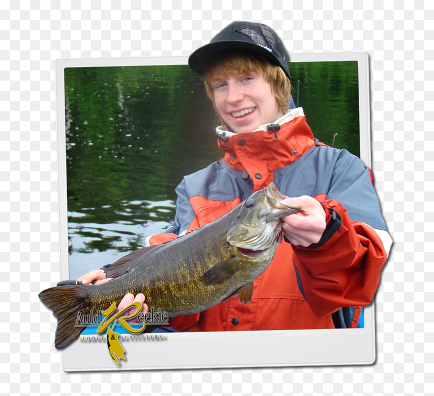 Smallmouth Bass - Ray-finned Fish, HD Png Download - bass fish png
