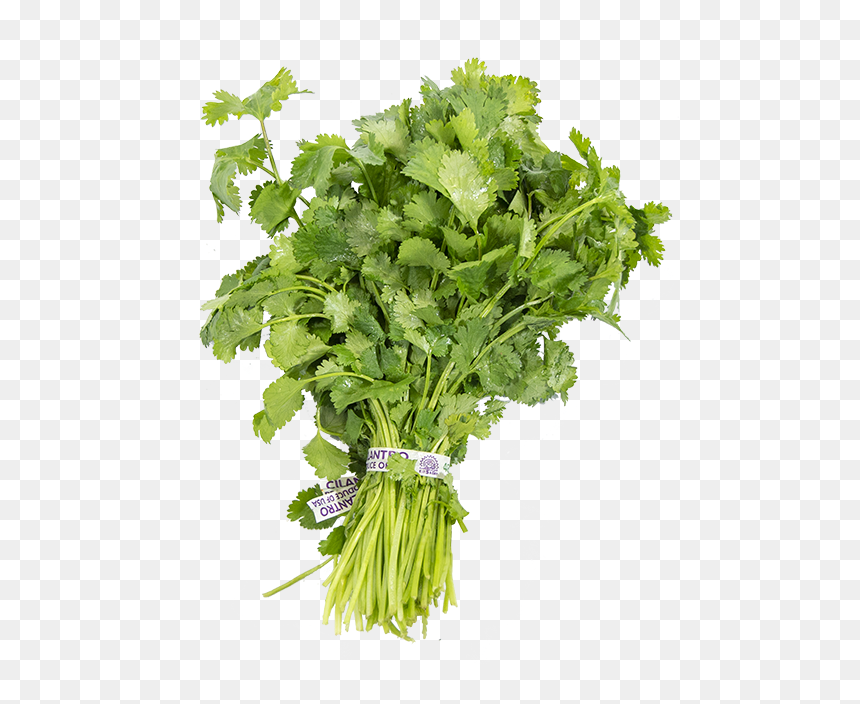 Parsley , Png Download - Parsley, Transparent Png - parsley png