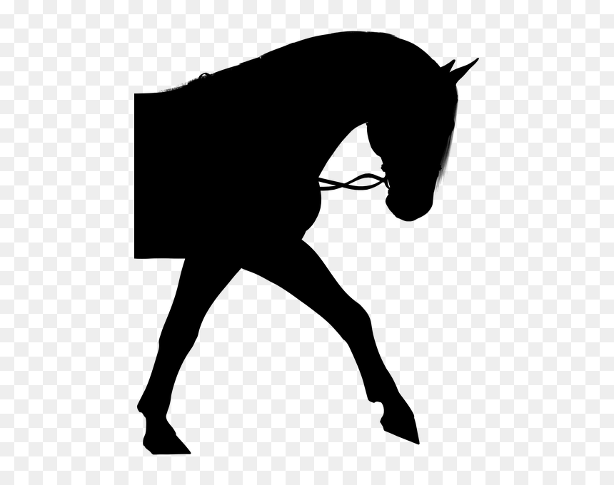 Pony Silhouette Png - Horse And Rider Silhouette, Transparent Png - horse silhouette png