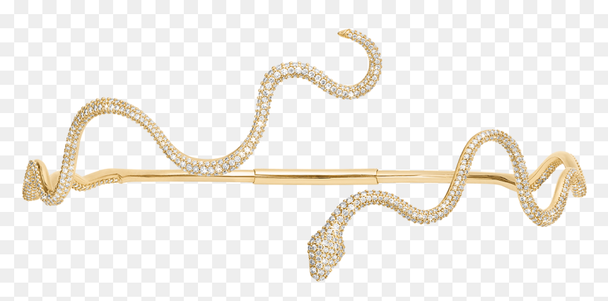 Grass Snake, HD Png Download - choker png