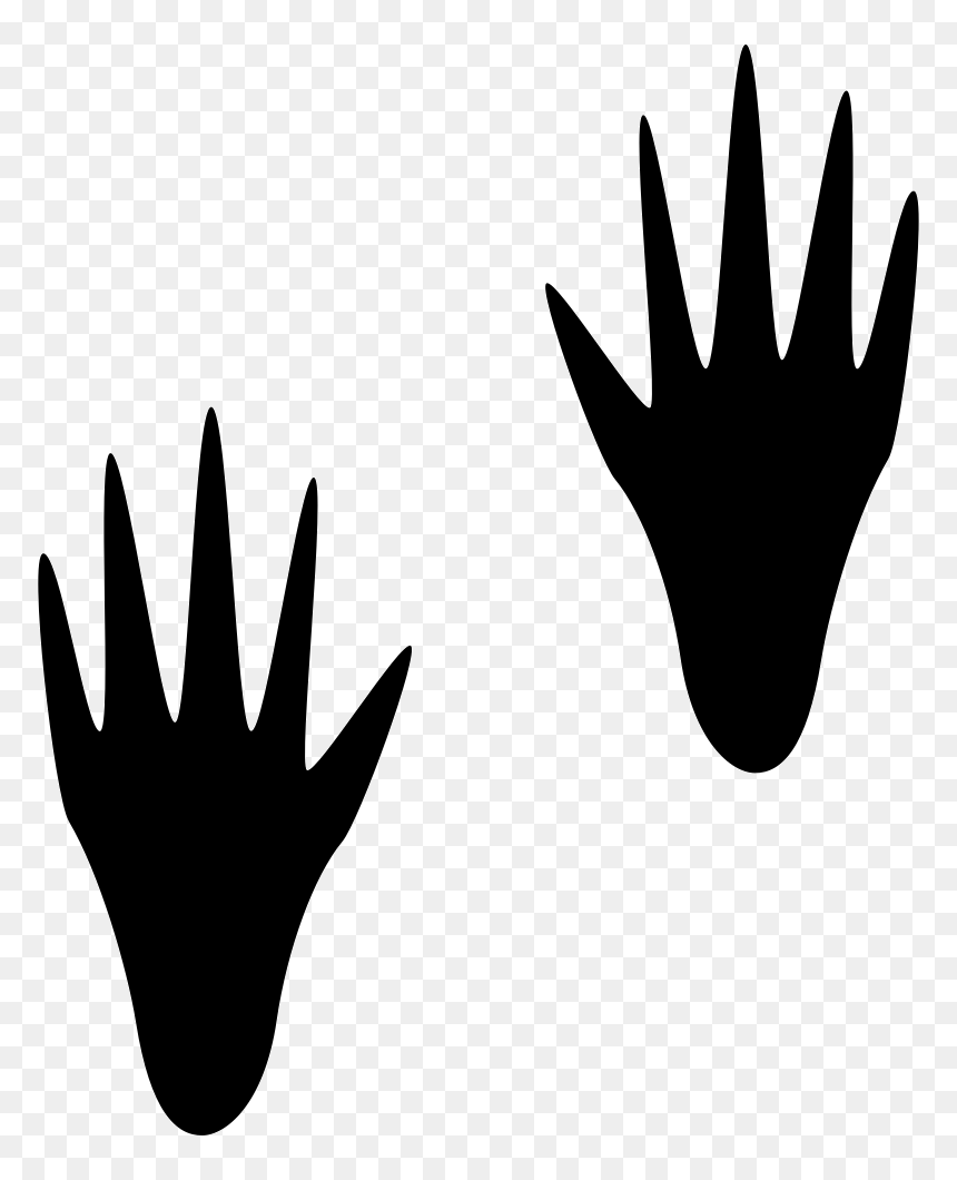 Racoon Pawrints - Imagenes De Huellas De Mapache, HD Png Download - racoon png