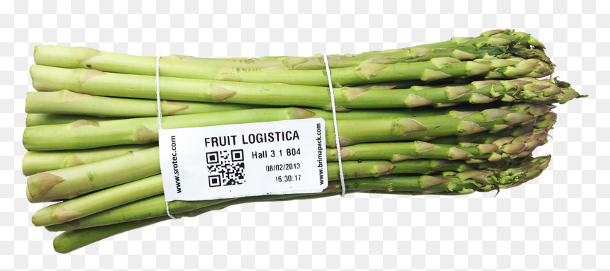 Garden Asparagus , Png Download - Welsh Onion, Transparent Png - asparagus png