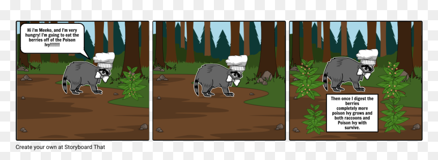 Racoon Png, Transparent Png - racoon png