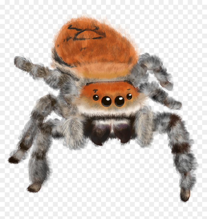 - Tarantula , Png Download - Tarantula, Transparent Png - tarantula png