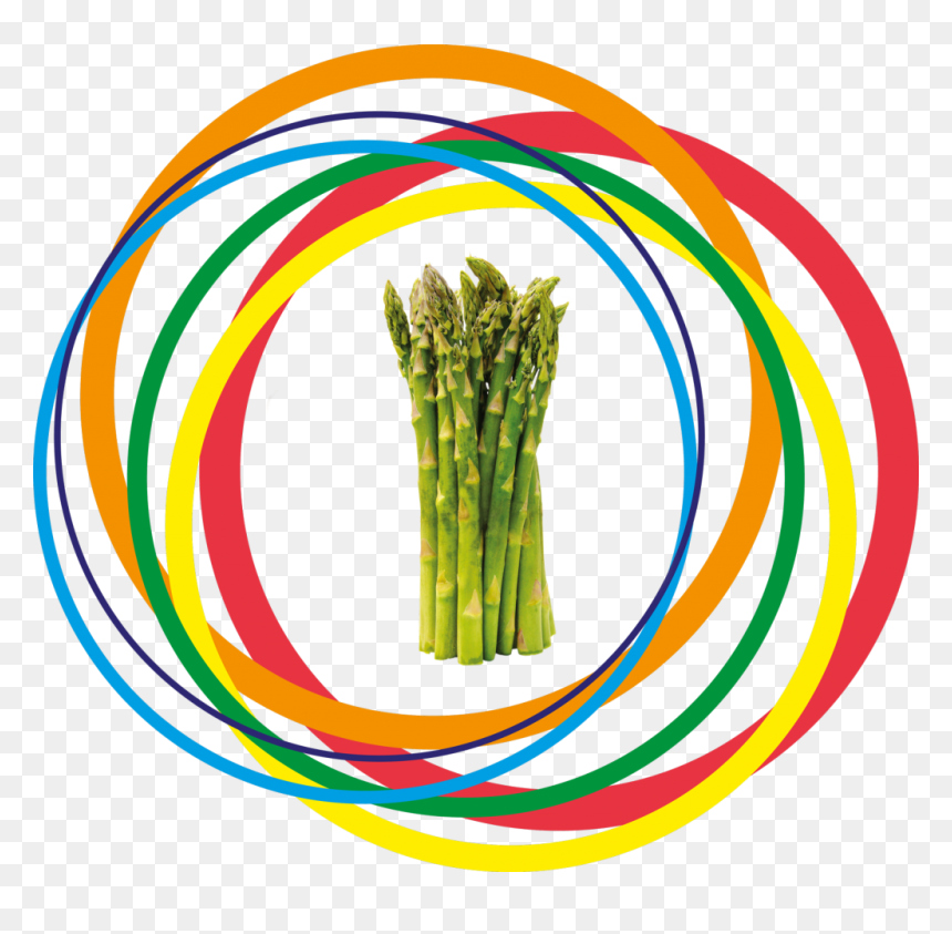 Asparagus, HD Png Download - asparagus png