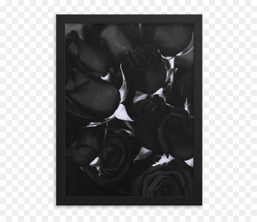 Picture Frame, HD Png Download - black roses png