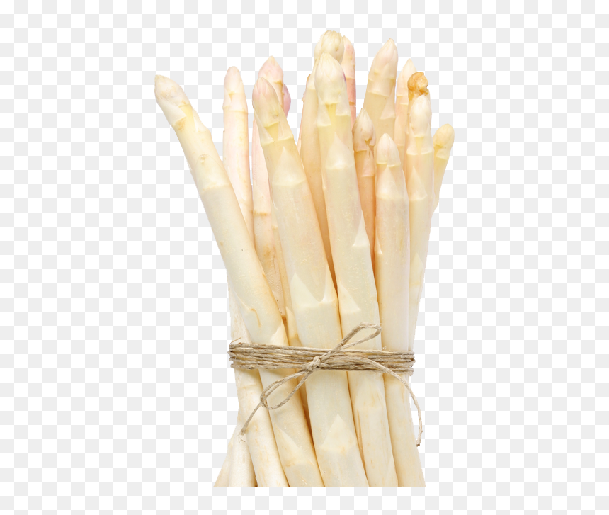 Asperge Blanche Png Transparent, Png Download - asparagus png