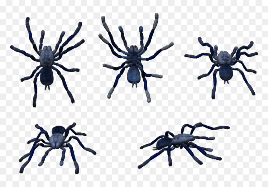 Roaring Twenties Clip Art Clipartsco, HD Png Download - tarantula png
